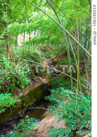 山科の大桑層化石産地と甌穴　金沢市 106190019