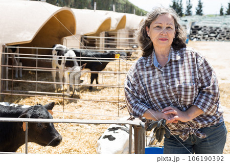 Mature female farmer posing at the cow farm 106190392