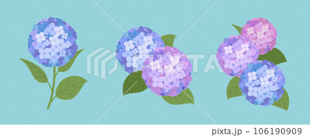 Beautiful hydrangea element set 106190909