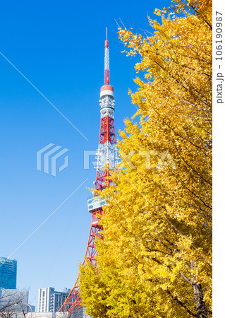 晩秋の東京港区　紅葉の芝公園と東京タワー 106190987