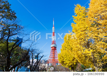 晩秋の東京港区 紅葉の芝公園と東京タワー 晩秋の東京港区 紅葉の芝公園と東京タワー 106190990
