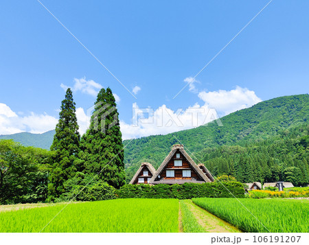 白川郷(夏) 白川郷(夏) 106191207
