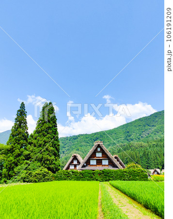 白川郷（夏） 106191209