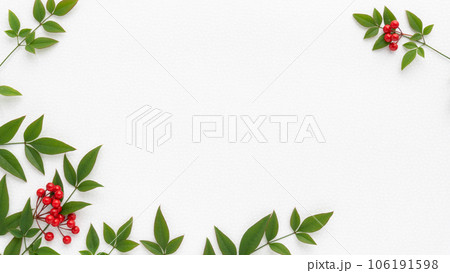 白い和紙に南天の葉と万両の赤い実の背景 白い和紙に南天の葉と万両の赤い実の背景 106191598