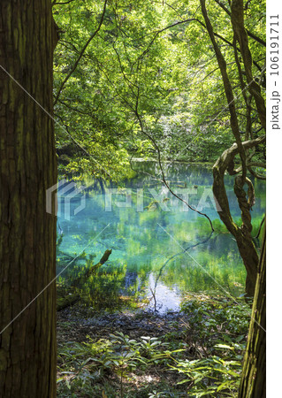 丸池様　山形県観光スポット 106191711