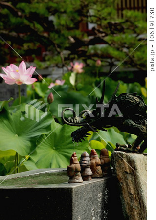 綺麗に咲いたハスの花と龍の吐水口 綺麗に咲いたハスの花と龍の吐水口 106191730