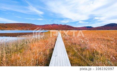 秋の猫魔ヶ岳・雄国沼トレッキング（雄国沼湿原） 106192097