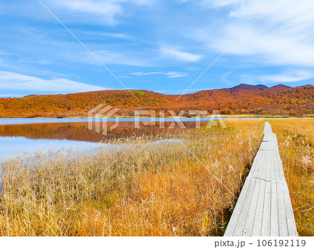 秋の猫魔ヶ岳・雄国沼トレッキング(雄国沼湿原) 秋の猫魔ヶ岳・雄国沼トレッキング(雄国沼湿原) 106192119