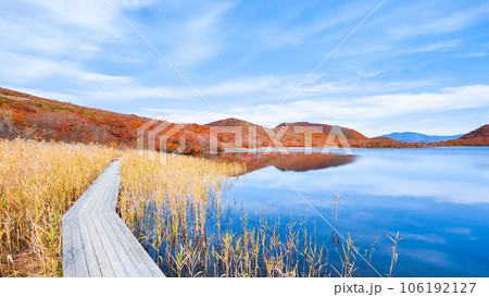 秋の猫魔ヶ岳・雄国沼トレッキング(雄国沼湿原) 秋の猫魔ヶ岳・雄国沼トレッキング(雄国沼湿原) 106192127