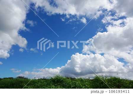 夏の風景 青い空と白い雲の写真素材 [106193411] - PIXTA