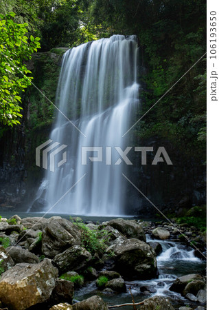 桜滝 桜滝 106193650