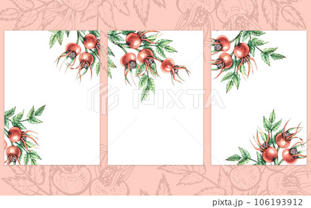 Watercolor wild rose postcard template 106193912