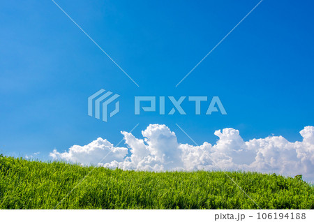 草原と爽やかな青空【風景・背景素材】 106194188