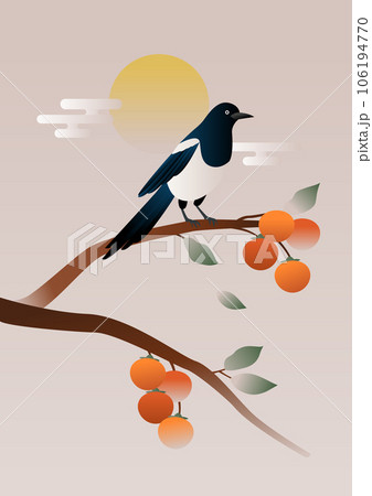 A magpie sitting on a persimmon tree branch. A magpie sitting on a persimmon tree branch. 106194770