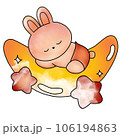 rabbit 106194863