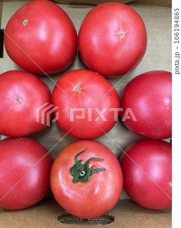 スーパーに並んだトマト 106194865