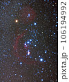 オリオン座 106194992