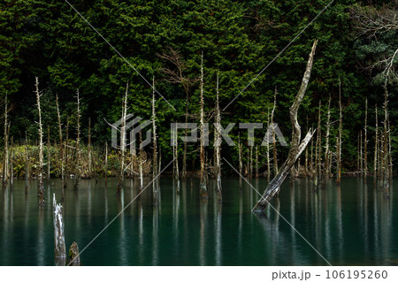 一の俣桜公園 106195260