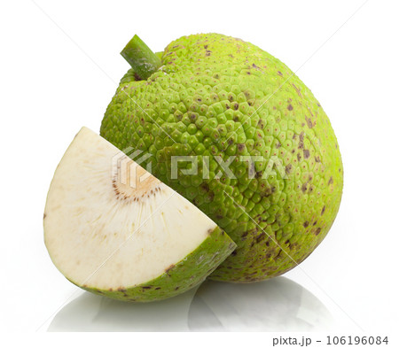 Breadfruit isolated cut out on white background 106196084