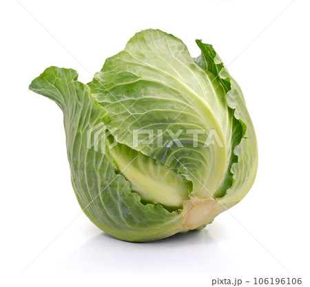 Green Cabbage isolated on white background Green Cabbage isolated on white background 106196106