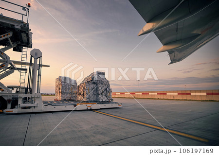 Preparation freight airplane before flight. Preparation freight airplane before flight. 106197169