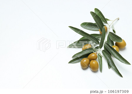Olives and olive tree leaves on white background, space for text 106197309