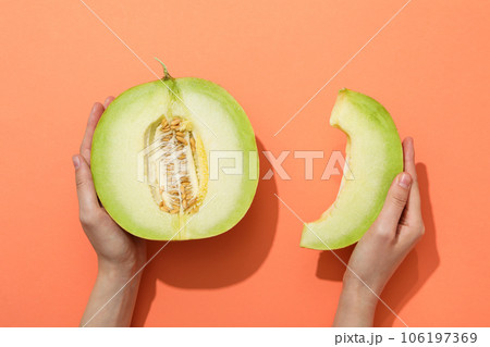 Juicy and tasty summer time fruit concept - melon 106197369