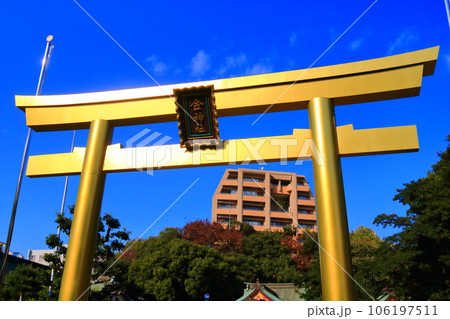 岐阜市 金神社 金色の鳥居 岐阜市 金神社 金色の鳥居 106197511