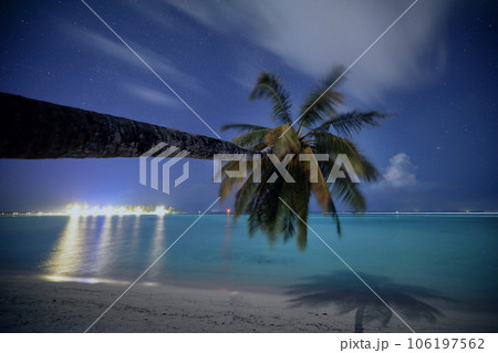 Palm tree on beach against stars on night sky 106197562