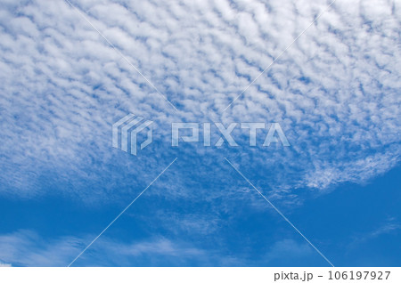 【秋の空】いわし雲・うろこ雲 【秋の空】いわし雲・うろこ雲 106197927