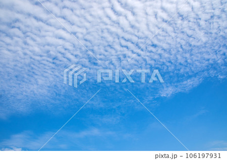 【秋の空】いわし雲・うろこ雲 【秋の空】いわし雲・うろこ雲 106197931