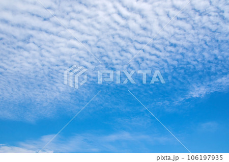 【秋の空】いわし雲・うろこ雲 【秋の空】いわし雲・うろこ雲 106197935