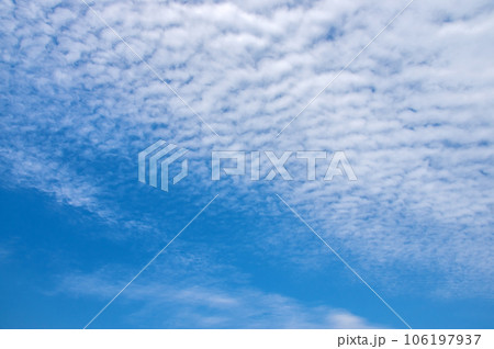 【秋の空】いわし雲・うろこ雲 106197937