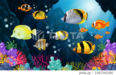Beautiful Tropical Fish in the Sea Beautiful Tropical Fish in the Sea 106198266