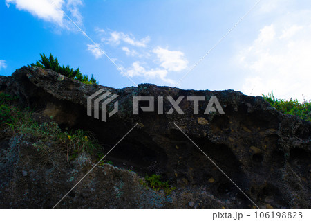 千葉県南房総市　野島崎灯台横の石壁 106198823