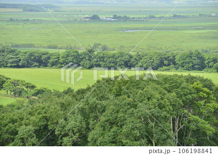 【北海道豊富町】宮の台展望所から見たサロベツ湿原の眺め 106198841
