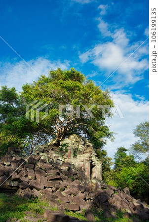 カンボジアのベンメリア遺跡 カンボジアのベンメリア遺跡 106199135