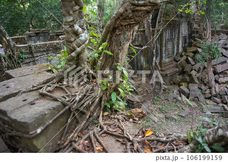 カンボジアのベンメリア遺跡 カンボジアのベンメリア遺跡 106199159