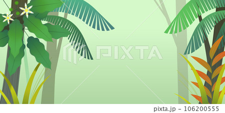 Misty rain forest background 106200555