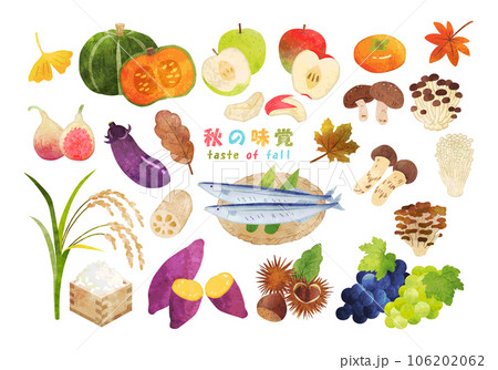 手描き水彩　秋の味覚　イラストセット 106202062