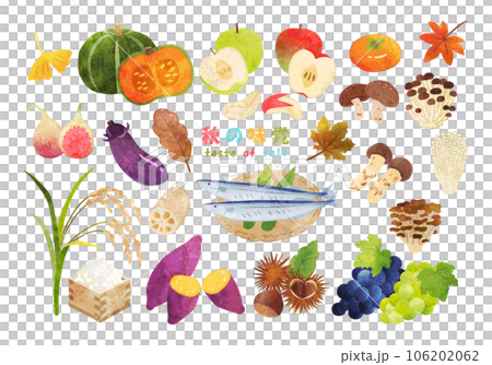 手繪水彩秋味插畫集 106202062