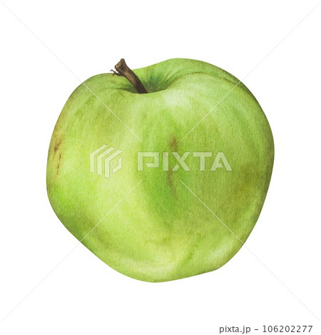 Green Apple isolated on white background. Watercolor botanical illustration of Fruit. Hand drawn clip art for juice and cider packaging. Sweet healthy food drawing for stickers and printing Green Apple isolated on white background. Watercolor botanical illustration of Fruit. Hand drawn clip art for juice and cider packaging. Sweet healthy food drawing for stickers and printing 106202277