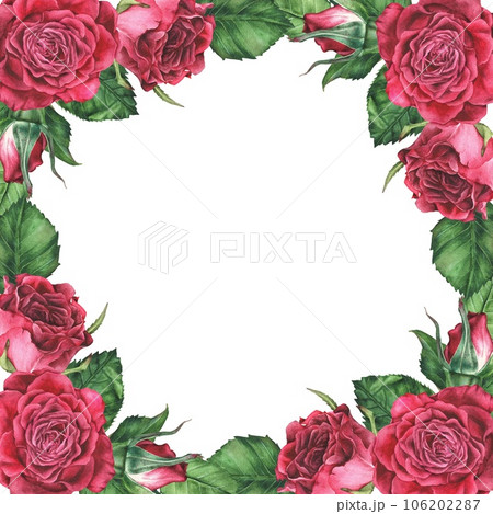Square frame of pink roses. Watercolor botanical illustration. Isolated on a white background hand drawn flowers. Floral arrangement of pink buds. Empty space for text. Place for an inscription 106202287