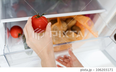 female hand picks up tomato from the refrigerator female hand picks up tomato from the refrigerator 106203171