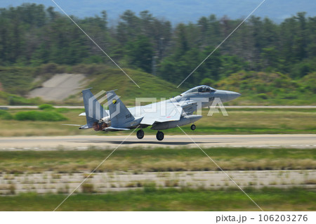 航空自衛隊第306飛行隊F-15イーグル離陸 106203276