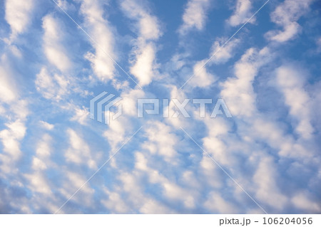 秋の朝の鯖雲 106204056