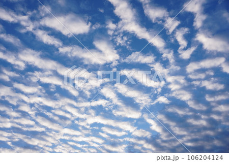 秋の朝の鯖雲 秋の朝の鯖雲 106204124