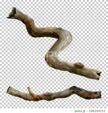 Tree roots, branches, twigs or trunks watercolor illustration set isolated on white background. Hand drawn forest nature clipart Tree roots, branches, twigs or trunks watercolor illustration set isolated on white background. Hand drawn forest nature clipart 106204133