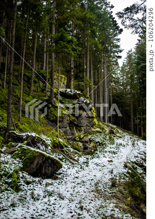 Abandoned Conifer Forest With Massive Granite Boulders In Lower Austria (Waldviertel) In Austria Abandoned Conifer Forest With Massive Granite Boulders In Lower Austria (Waldviertel) In Austria 106204296