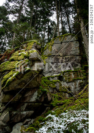 Abandoned Conifer Forest With Massive Granite Boulders In Lower Austria (Waldviertel) In Austria 106204297